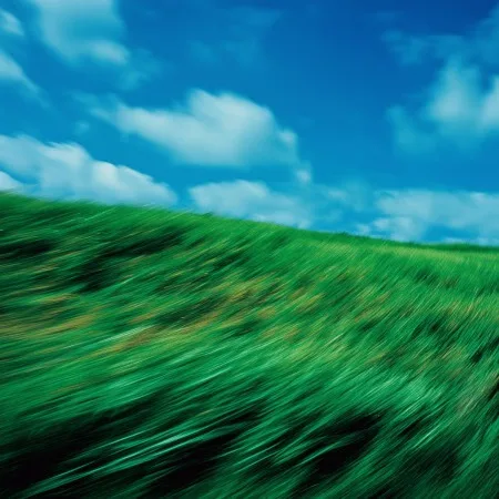Nature photograph used in a custom code effect built by the Framer agent