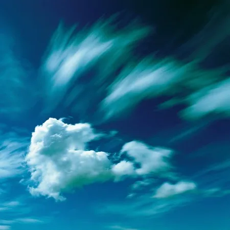 Nature photograph used in a custom code effect built by the Framer agent